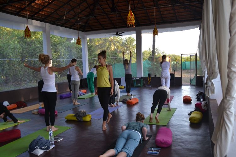 28 Days 200 hour Yoga Teacher Training at Neo Yoga Rishikesh, India8.jpg